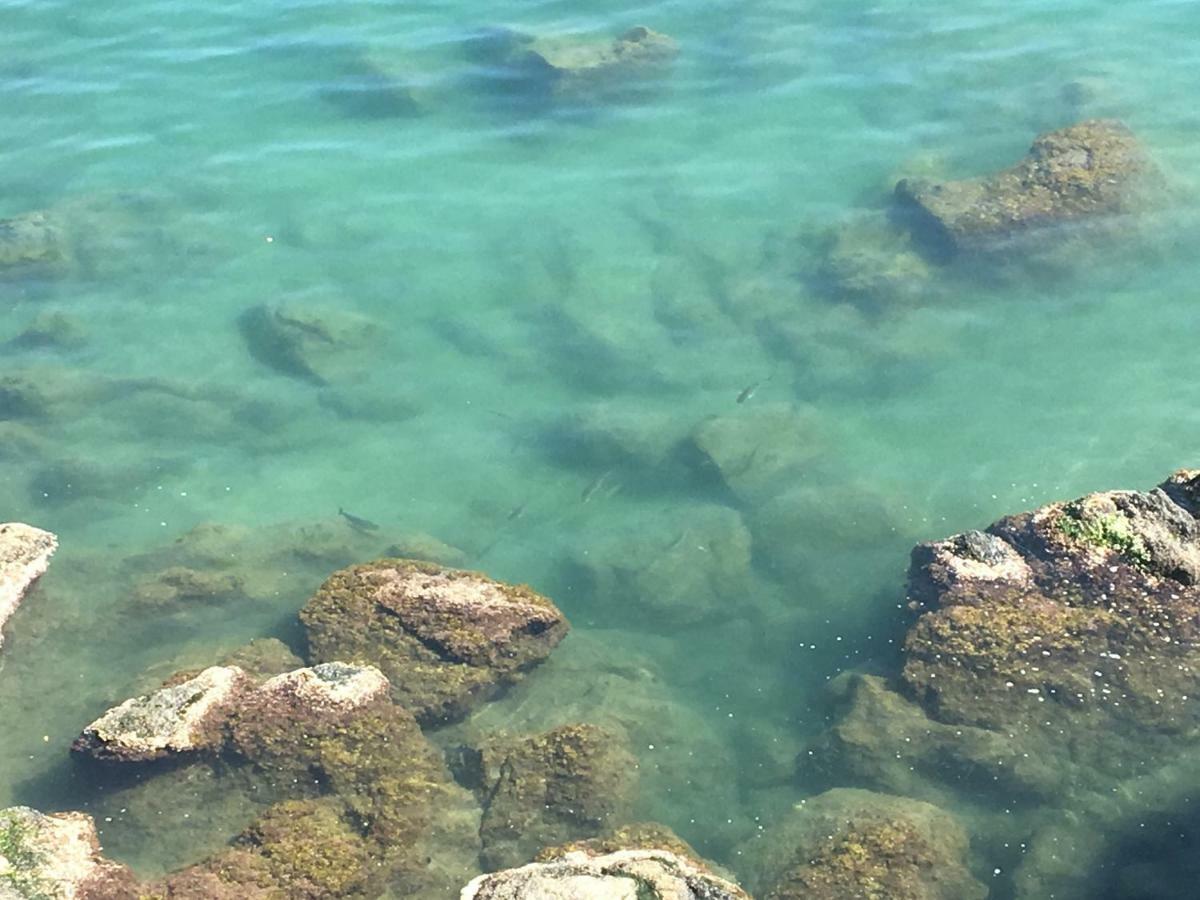 La Casetta Di Dory Sul Mare Genova Exterior foto